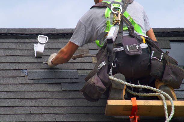 Roof Gutter Cleaning in Kings Park West, VA